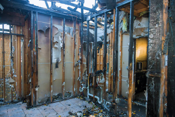Professional Fire Damage Removal technician working in Juliustown, NJ